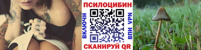 Псилоцибиновые грибы Psilocybine cubensis Лабинск